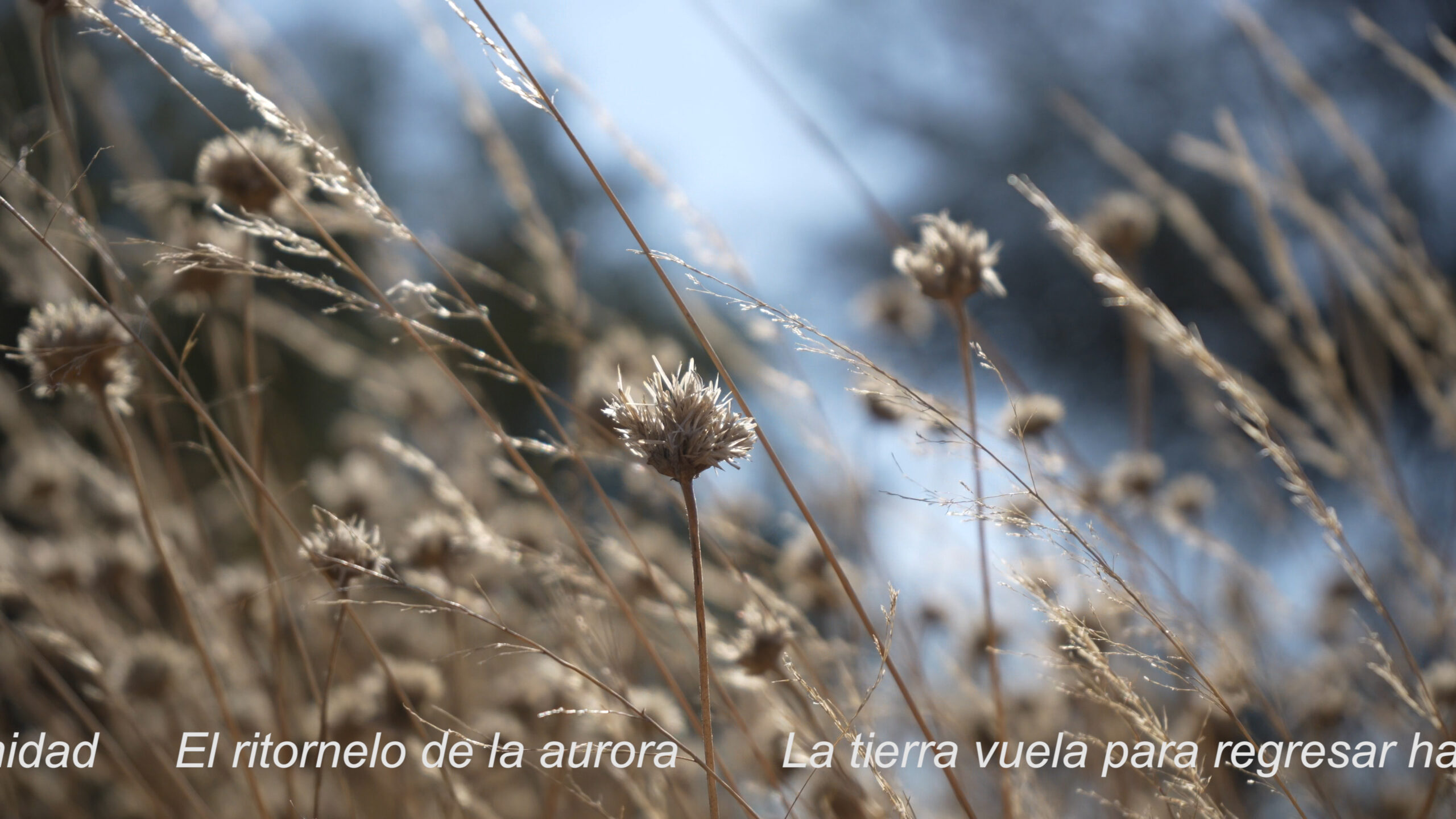 Sony1309.00_01_52_05.Imagen fija005