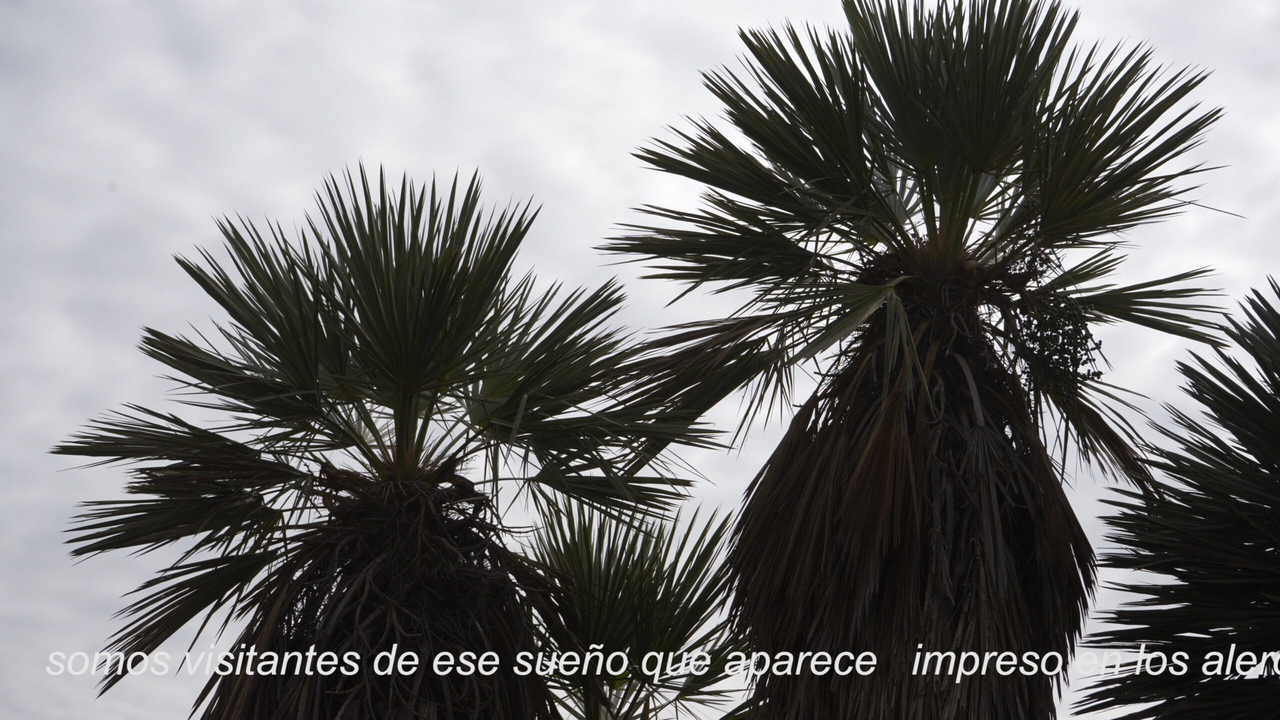 Sony1309.00_03_14_02.Imagen fija001