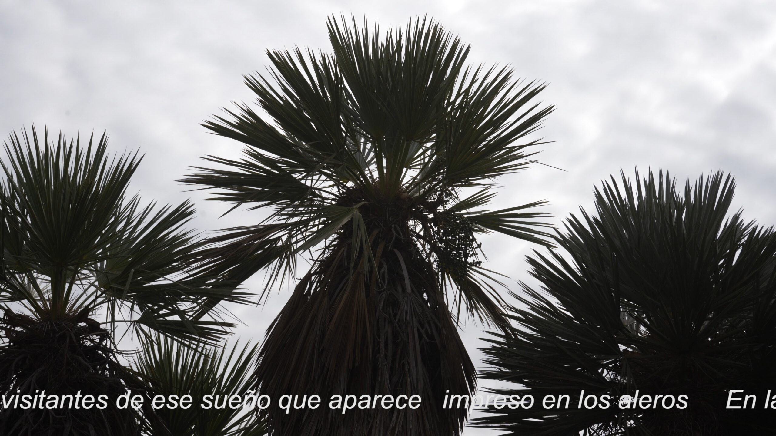 Sony1309.00_03_16_02.Imagen fija002