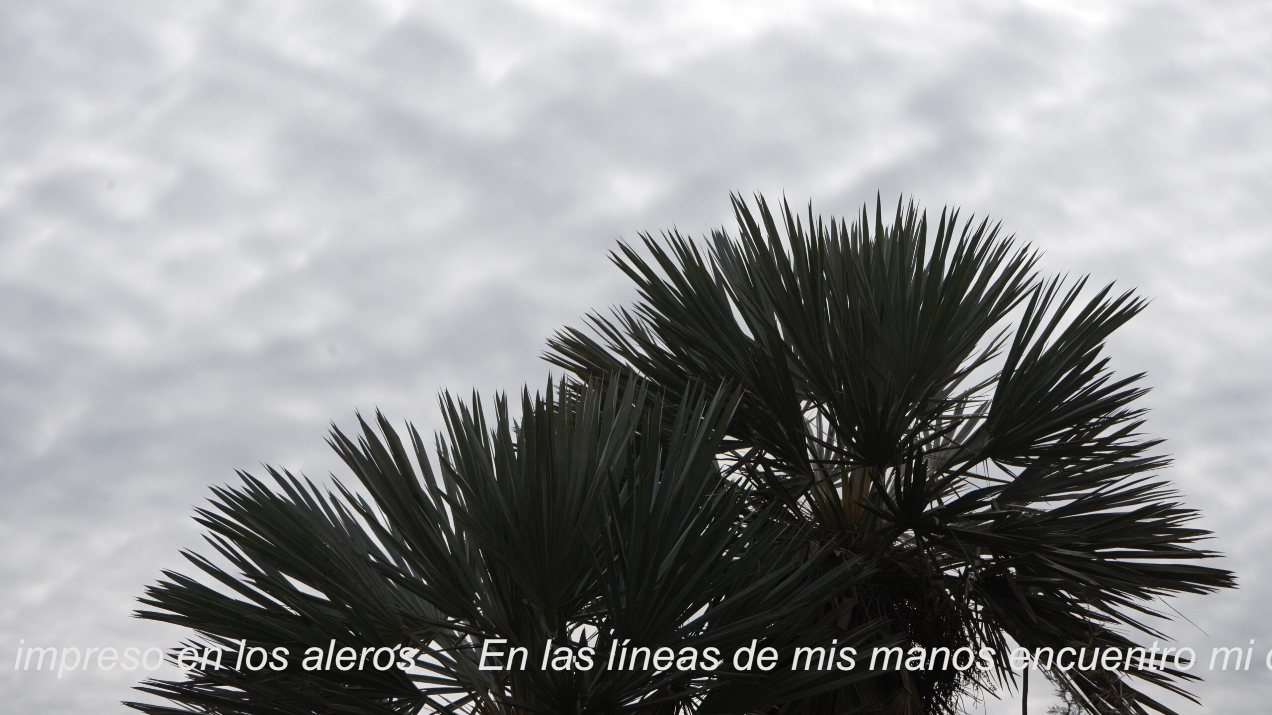 Sony1309.00_03_23_24.Imagen fija003